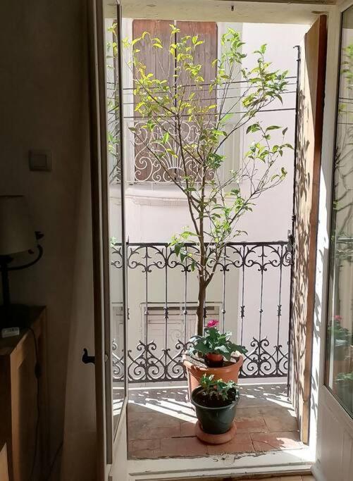 Maison De Village Dans Le Centre Du Vieux Quartier Marseillan  Buitenkant foto